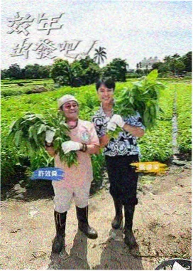 巴巴影视网东南亚区域导览配图,热带市集与摩托长街